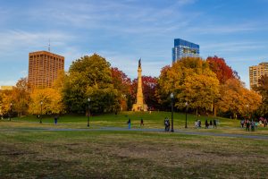 boston-fall-proposal