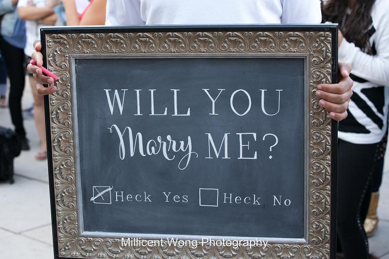 chicago-marriage-proposal-10