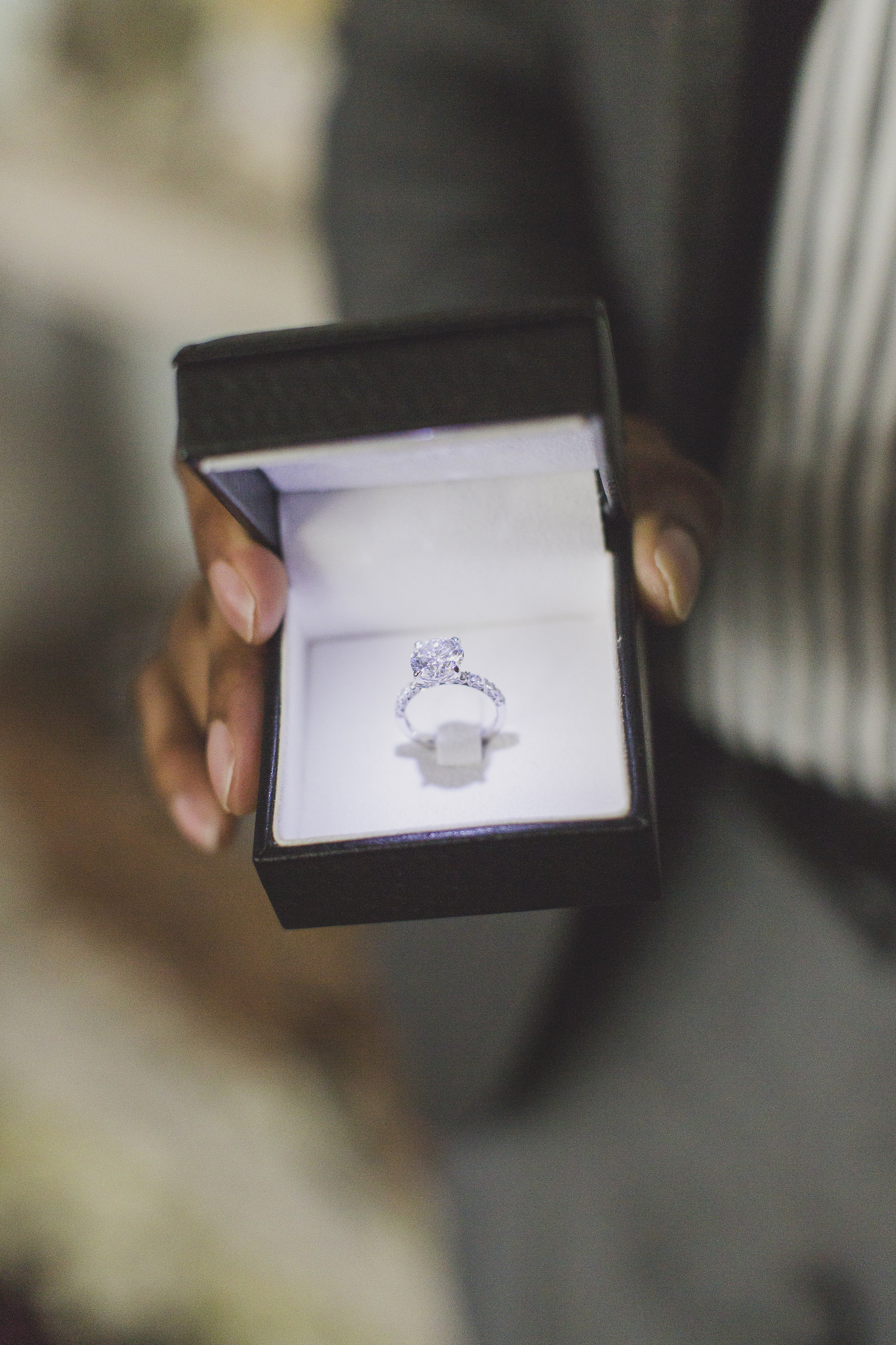 View More: http://michelleablephotography.pass.us/aniproposal