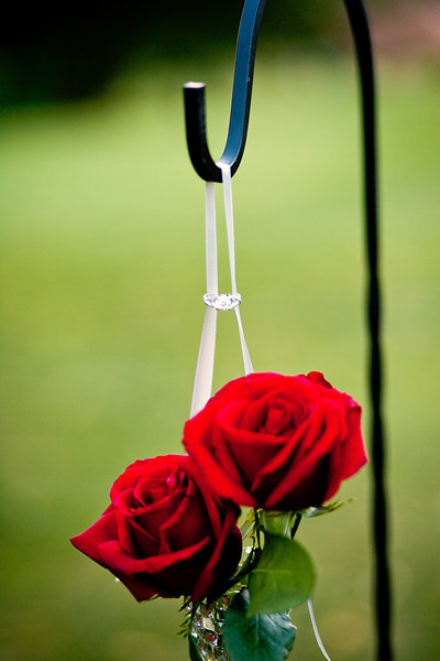 sheperd hook with roses