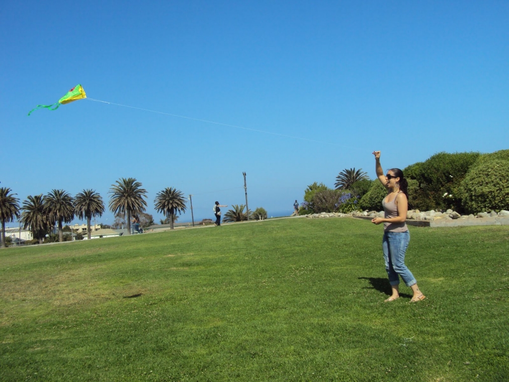Kites are fun AND a great way to propose!