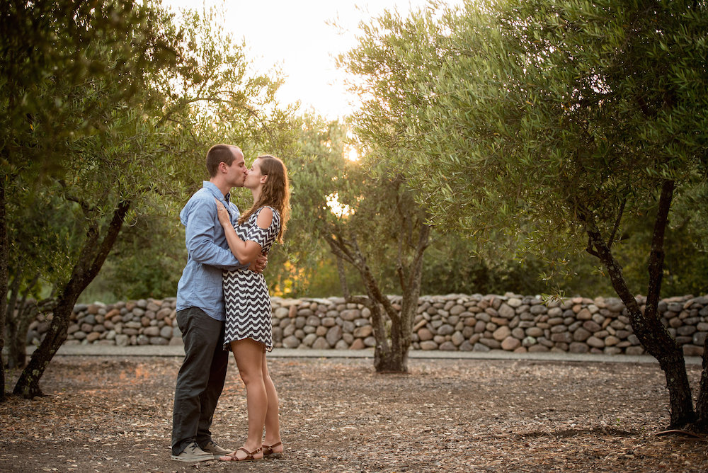 proposal-planner-in-napa