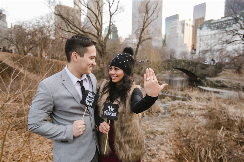 couple gets engaged central park