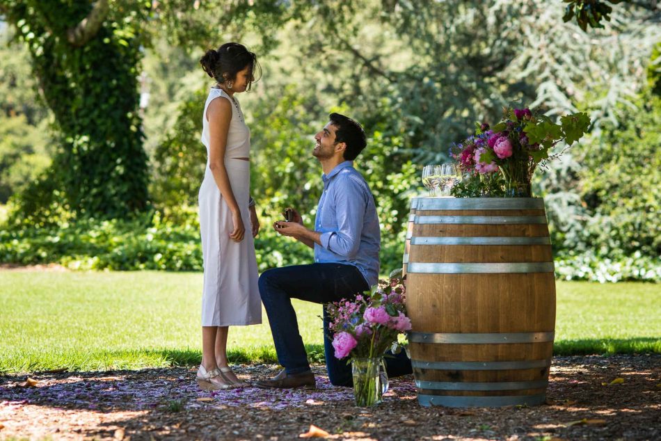 Winery proposal