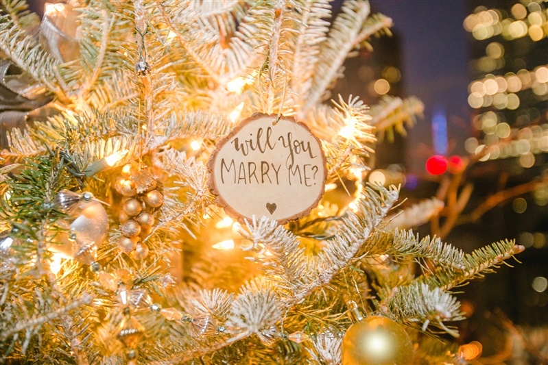 marry me sign on christmas tree
